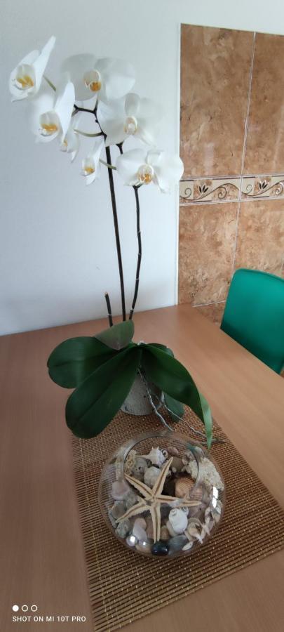 Apartments Tara Улцинь Екстер'єр фото
